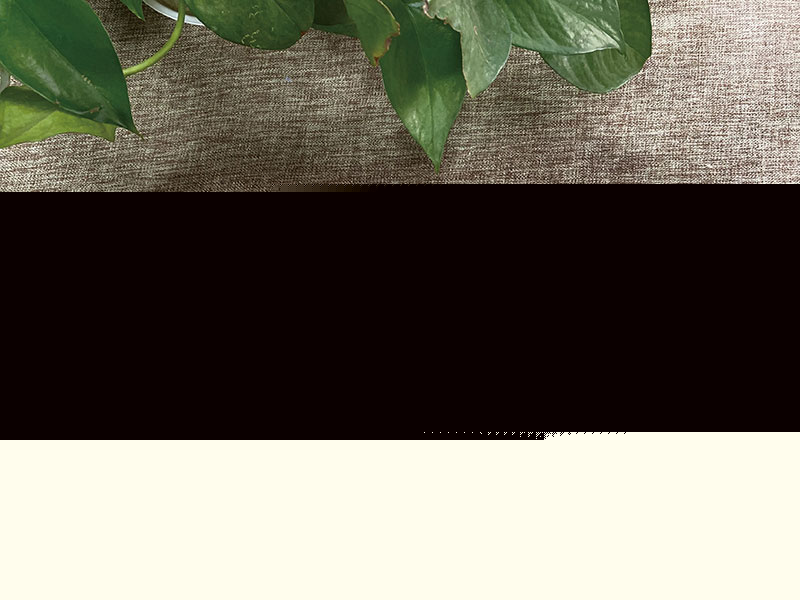 翻蓋式磁鐵內(nèi)嵌茶葉盒